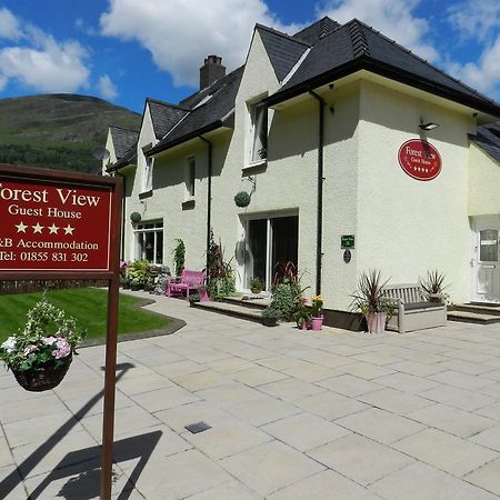 Forest View Guest House 金洛赫利文 外观 照片