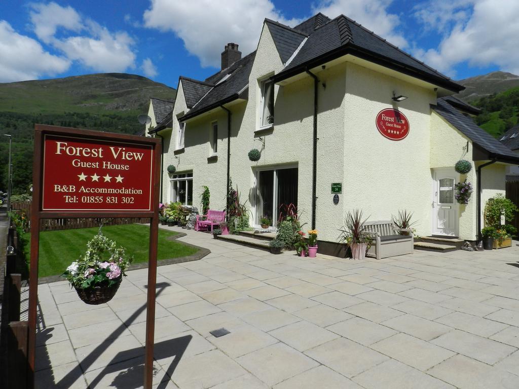 Forest View Guest House 金洛赫利文 外观 照片