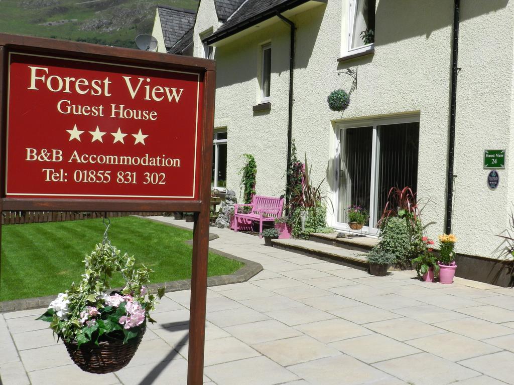 Forest View Guest House 金洛赫利文 外观 照片